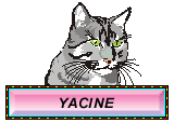 PRENOM